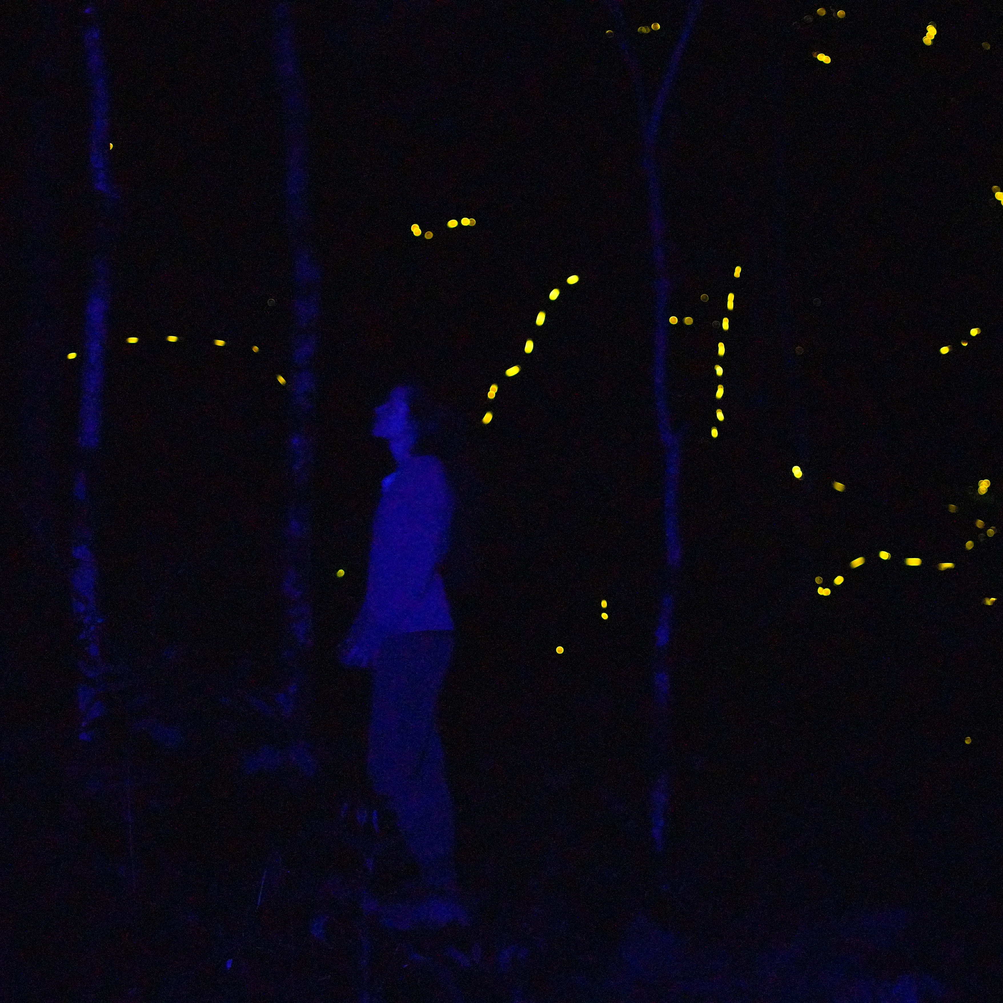 lucidluminescence.org
